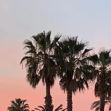 Location Detente Les Pieds Dans L Eau Fréjus